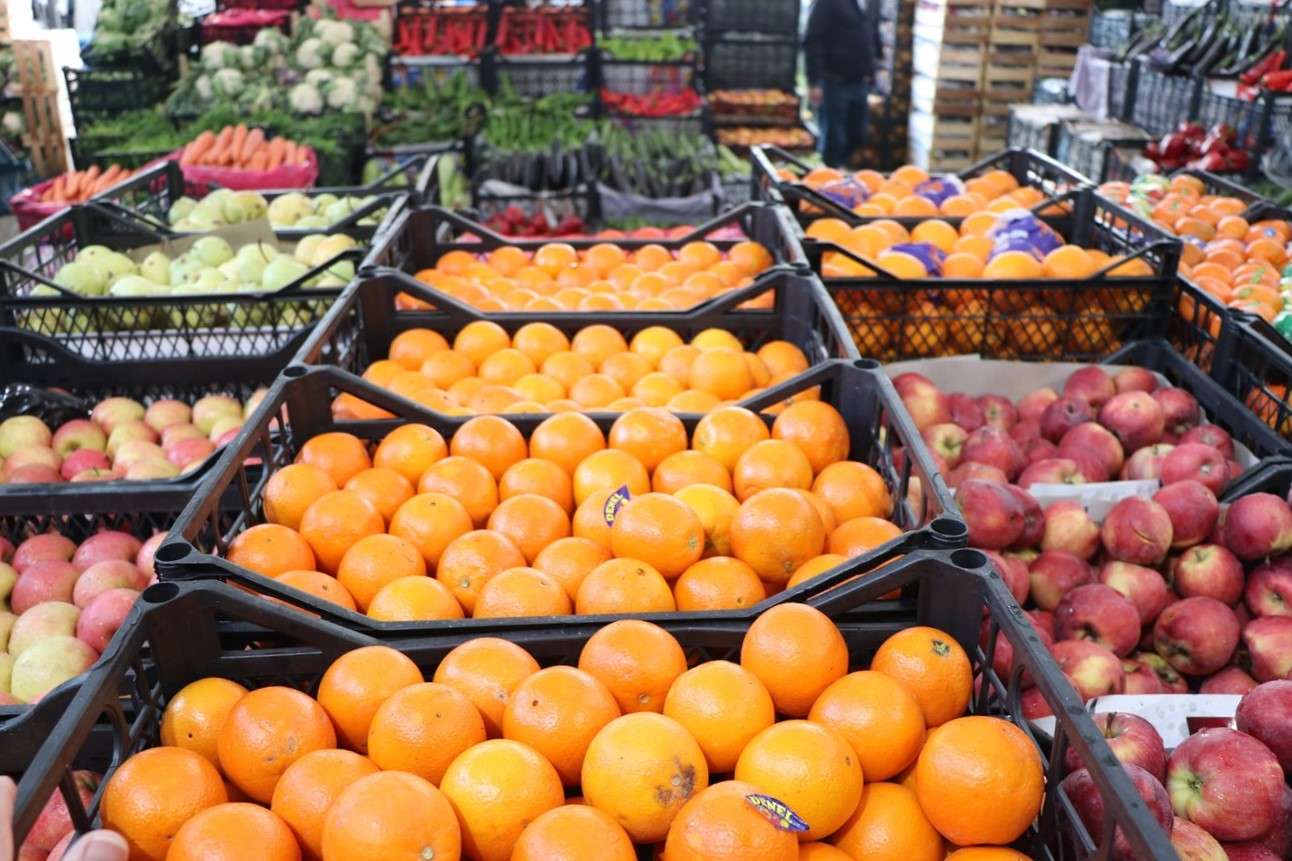 Halciler Derneği Başkan Yardımcısı Baran: Fiyat artışlarının sebebi ürün azlığı ve girdi maliyetleri